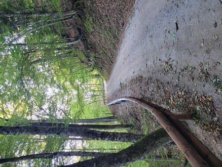 Zaščitna ograja Slivnica 2, Uroš Skuk